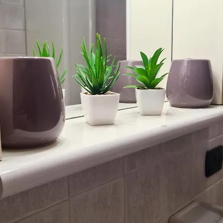 Ampio E Luminoso Monolocale פרוג'ה